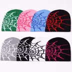 Spider Web Beanie